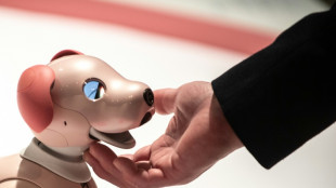 Sony discontinues Japan sales of robot puppy 'aibo'