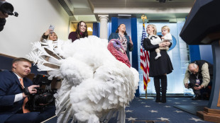Trump scherza, 'le grazie ai tacchini di Biden non erano valide'
