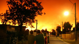 France evacuates thousands of tourists as fire rages in pine forest