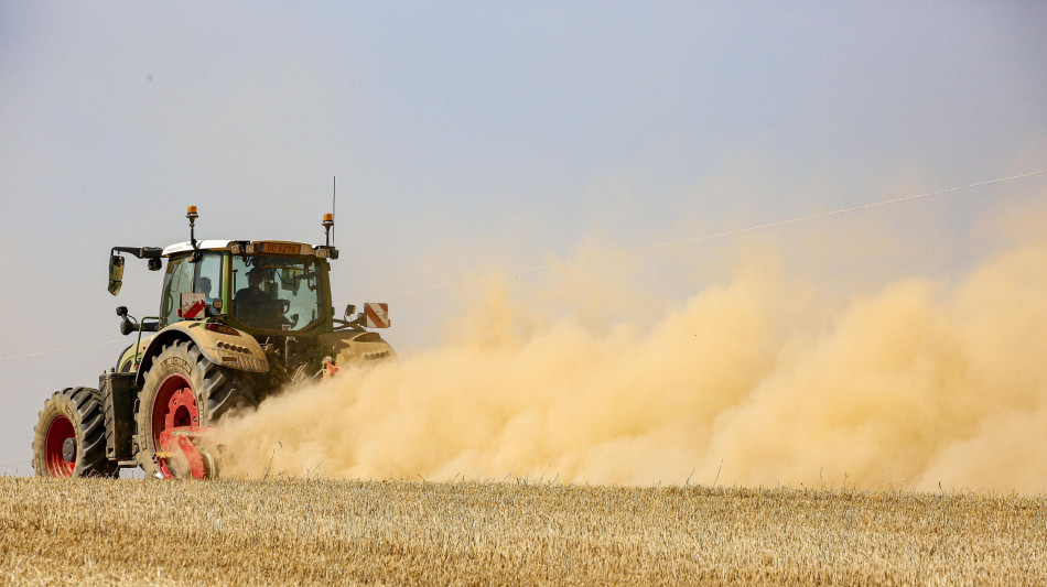 Agea, quasi 600 milioni di anticipi gi&agrave; erogati agli agricoltori