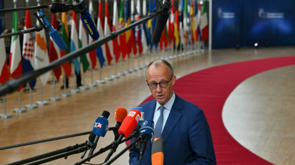 Zollstreit: Merz fordert EU-Kommission zu schneller Einigung mit US-Trump auf