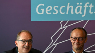 Union stellt nach B&uuml;rgergeld-Kompromiss Zustimmung im Parlament in Aussicht