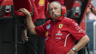 F1:Qatar; Vasseur 'vogliamo chiudere stagione nel modo migliore'
