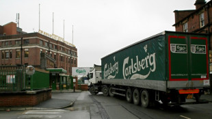 Carlsberg quaffs British soft drinks maker Britvic for &pound;3.3 bn