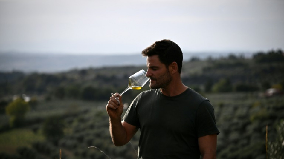 L'huile d'olive italienne s'&eacute;puise face au changement climatique