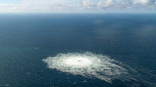 Schwedens Marinechefin: Kritische Infrastruktur kann nicht voll gesch&uuml;tzt werden