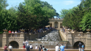Fans of historic DC park wary of Trump plan to 'beautify' city