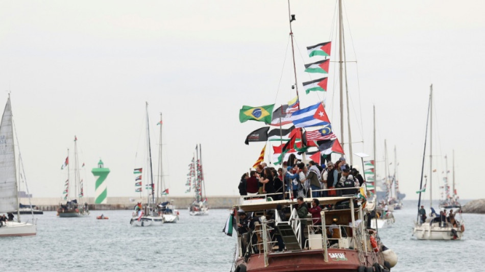 Les militants de la "flottille pour Gaza" arr&ecirc;t&eacute;s vont &ecirc;tre conduits en Gr&egrave;ce, annonce Isra&euml;l