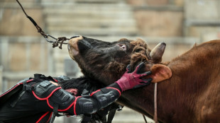 China's bull wrestlers fight to keep tradition alive