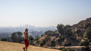 Banheiro p&uacute;blico de quase US$ 1 milh&atilde;o &eacute; alvo de cr&iacute;ticas em Los Angeles