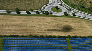 Studie der Regierung sieht gro&szlig;es Potenzial f&uuml;r Solaranlagen an Fernstra&szlig;en