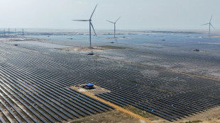 En Inde, la grande ruée vers l'énergie solaire