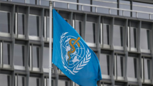 Hantavirus: le risque pour l'ensemble de la population est "absolument faible", assure l'OMS