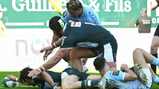 Top 14: A Pau, le leader et voisin bayonnais pas &agrave; la f&ecirc;te