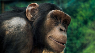 R&eacute;fl&eacute;chir &agrave; l'identit&eacute; de genre gr&acirc;ce aux singes, avec le primatologue Frans de Waal