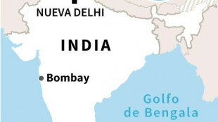 Nueve muertos y 15 desaparecidos por el colapso de un t&uacute;nel en el noreste de India