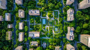 Foreste attorno citt&agrave;, scudo contro temperature estreme e inquinamento urbano