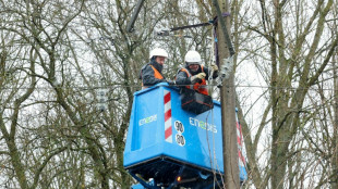 Canicule: 20.000 foyers restent priv&eacute;s d'&eacute;lectricit&eacute; apr&egrave;s les orages (Enedis)