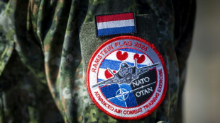 "Erhöhte Bedrohung": Niederländische Armee hebt Alarmstufe an