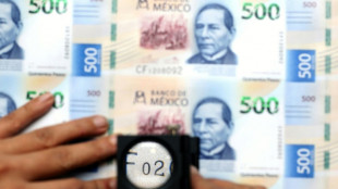 El banco central de M&eacute;xico recorta su tasa de referencia en 25 puntos b&aacute;sicos, a 6,5%