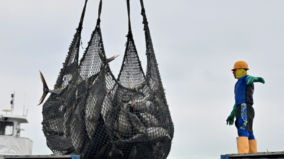 Ecuador aumenta a 482 d&oacute;lares el salario m&iacute;nimo para 2026