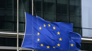 EU k&ouml;nnte Bosnien-Herzegowina zum Beitrittskandidaten machen