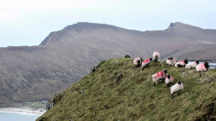 Remotas islas irlandesas disfrutan el atractivo tur&iacute;stico de los Oscar