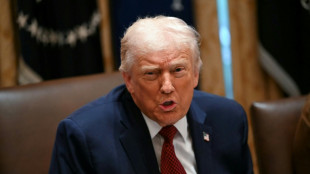 L'Ukraine devrait organiser des &eacute;lections, selon Trump