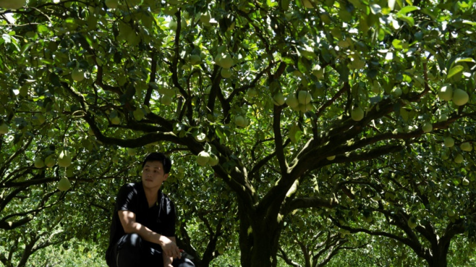 Pescadores y agricultores de Taiw&aacute;n sienten el azote de las sanciones chinas