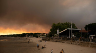 Some 40,000 people evacuated due to wildfire in southwest France: minister 