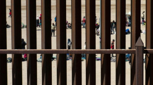 Fronti&egrave;re: Biden reprend la construction du mur de Trump, assure y &ecirc;tre contraint par la loi