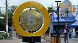 Electris&eacute; par Trump, le bitcoin passe le cap des 90.000 dollars