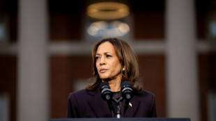 US Democrats release - and disown - 2024 election autopsy