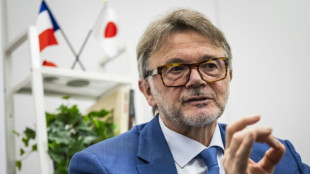 Jap&atilde;o pode 'surpreender o Brasil', avisa ex-t&eacute;cnico Philippe Troussier