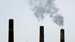 EU reforms carbon market under pressure from industry