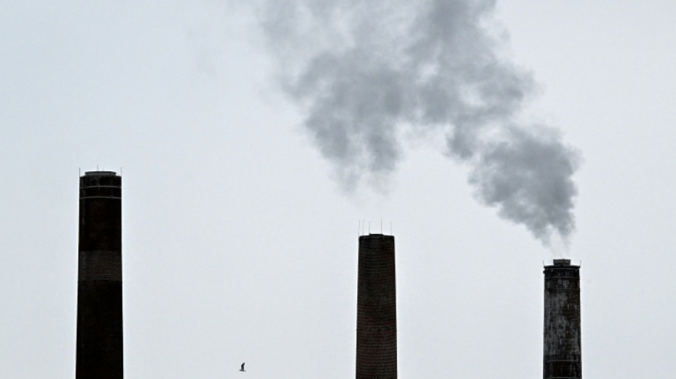 With climate ambitions in question, EU reforms carbon market