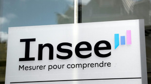 France: le taux de ch&ocirc;mage au-dessus de 8% sur fond de conjoncture d&eacute;grad&eacute;e 