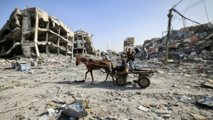 Nouvelle lib&eacute;ration d'otages &agrave; Gaza, au troisi&egrave;me jour de tr&ecirc;ve
