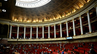 Budget: le camp gouvernemental accus&eacute; d'obstruction &agrave; l'Assembl&eacute;e