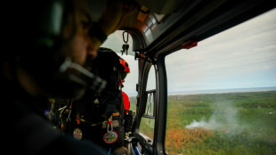 "Le plus dur, c'est de voir les maisons br&ucirc;ler": des pilotes de la S&eacute;curit&eacute; civile racontent leur combat contre le feu depuis les airs