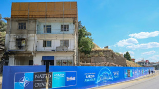 "Tout ce maquillage n'est pas pour nous" : Ankara se refait une beaut&eacute; pour l'Otan