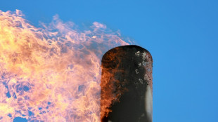 Energieagentur: Methanaussto&szlig; im Energiesektor 2024 fast auf Rekordniveau