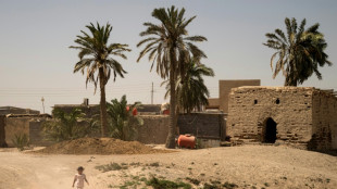 En Irak, les agriculteurs confront&eacute;s &agrave; la hausse de la salinit&eacute; de l'eau pour cause de s&eacute;cheresse 