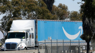 Amazon lance sa propre offre logistique, concurrente des g&eacute;ants du secteur