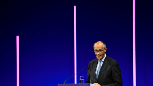 L'Allemagne adopte la plus forte hausse du Smic depuis sa cr&eacute;ation il y a dix ans 