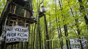 Polizei setzt R&auml;umung in Fechenheimer Wald in Frankfurt am Main fort