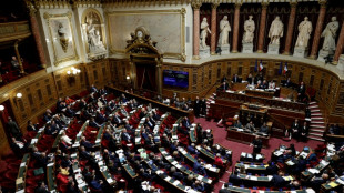 "Coup de tonnerre": le trait&eacute; Ceta rejet&eacute; par les s&eacute;nateurs dans un h&eacute;micycle enflamm&eacute;