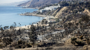 Un suspect arr&ecirc;t&eacute; dans l'enqu&ecirc;te sur les incendies meurtriers de janvier &agrave; Los Angeles