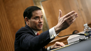 Rubio hopeful for Iran deal, insists on nuclear curbs