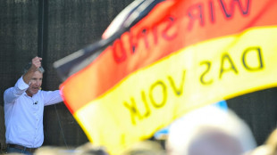 Allemagne: l'extr&ecirc;me droite attendue en force dans deux &eacute;lections r&eacute;gionales